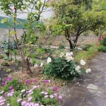 公寓 Casa Rossa 萨里索伦札拉