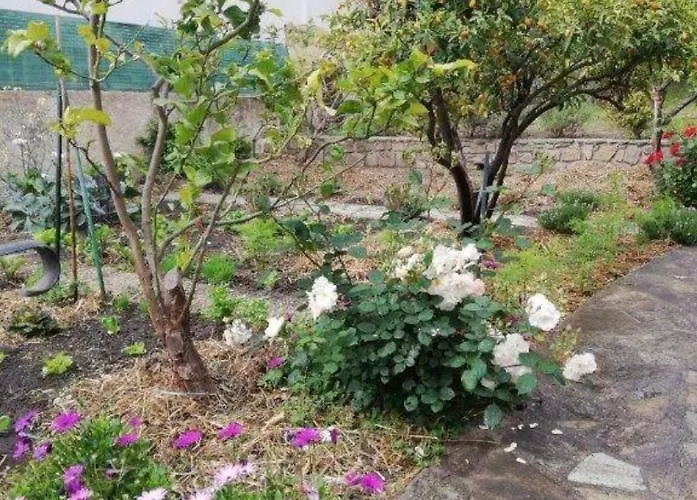 Apartment Casa Rossa Sari-Solenzara